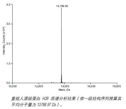重组人源组蛋白 H2B 货 号 #M2505S