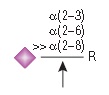 α2-3,6,8 神经氨酸苷酶               货   号                  #P0720L