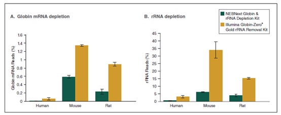 NEBNext Globin & rRNA 去除试剂盒（人/小鼠/大鼠）- 含 RNA 纯化磁珠            货   号                  #E7755L