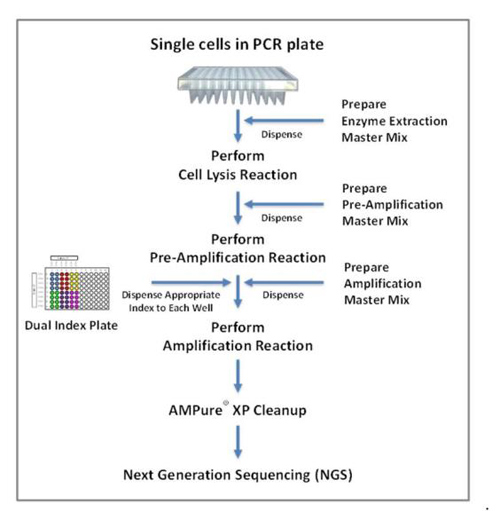 Clontech                      R300381           PicoPLEX&reg; DNA-seq Kit            48 Rxns