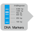 Takara                      RR062A           Multiplex PCR Assay Kit Ver.2            100 次            ￥2,003 ￥1,703                          Takara                      RR062B (A × 4)           Multiplex PCR Assay Kit Ver.2            400 次