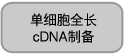 Clontech                      R400674           ThruPLEX&reg; DNA-Seq Kit            24 Rxns