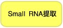 Takara                      9753Q           RNAiso for Small RNA            25 ml
