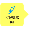 Takara                      9769S           TaKaRa MiniBEST Plant RNA Extraction Kit            10 Rxns