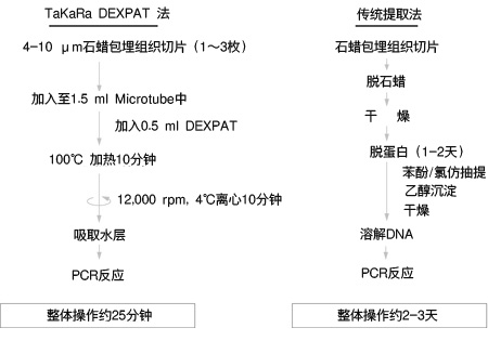 Takara                      9091           TaKaRa DEXPAT&trade;            100 Rxns