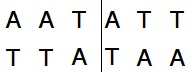 Takara                      1185A           Ssp I            500 U            ￥391 ￥293                          Takara                      1185B (A × 5)           Ssp I            500 U × 5