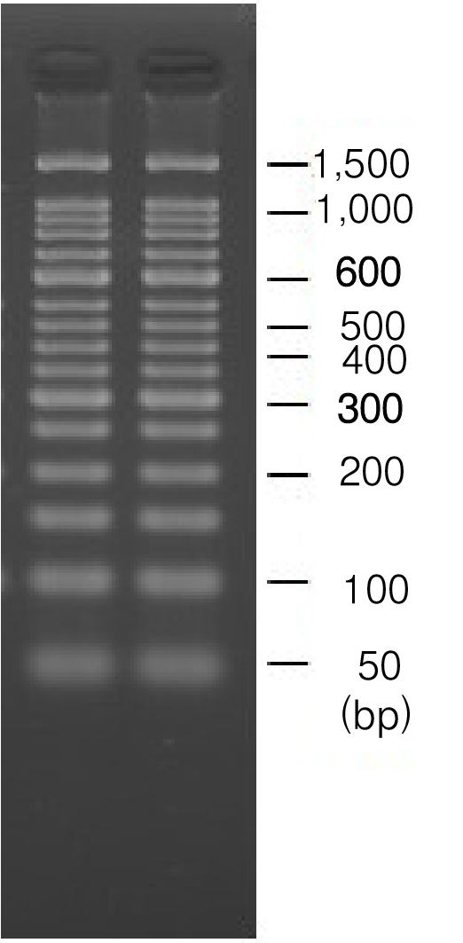 Takara                      5810A           PrimeGel&trade; Agarose PCR-Sieve            100 g