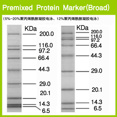 Takara                      3597Q           Premixed Protein Marker (Broad)            250 μl