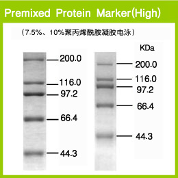 Takara                      3596A           Premixed Protein Marker (High)            500 μl
