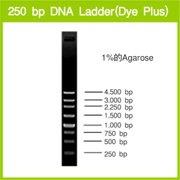 Takara                      3424A           250 bp DNA Ladder (Dye Plus)            500 μl            ￥180 买一送一                          Takara                      3424B (A × 2)           250 bp DNA Ladder (Dye Plus)            500 μl × 2
