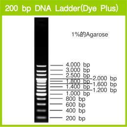 Takara                      3423A           200 bp DNA Ladder (Dye Plus)            500 μl            ￥320 买一送一                          Takara                      3423B (A × 2)           200 bp DNA Ladder (Dye Plus)            500 μl × 2