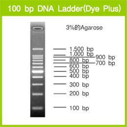 Takara                      3422A           100 bp DNA Ladder (Dye Plus)            500 μl            ￥361 买一送一                          Takara                      3422B (A × 2)           100 bp DNA Ladder (Dye Plus)            500 μl × 2