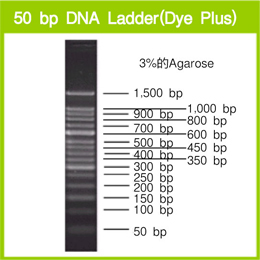 Takara                      3421A           50 bp DNA Ladder (Dye Plus)            500 μl            ￥361 买一送一                          Takara                      3421B (A × 2)           50 bp DNA Ladder (Dye Plus)            500 μl × 2