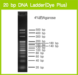 Takara                      3420A           20 bp DNA Ladder (Dye Plus)            500 μl            ￥180 ￥153                          Takara                      3420B (A × 2)           20 bp DNA Ladder (Dye Plus)            500 μl × 2