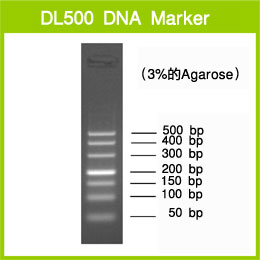 Takara                      3590Q           DL500 DNA Marker            200 μl