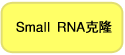 Takara                      3240           pBApo-CMV Neo DNA            20 μg