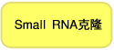 Takara                      3243           pBApo-EF1α Neo DNA            20 μg