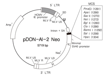 Takara                      3653           pDON-AI-2 Neo DNA            20 μg