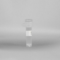 Clontech 632180 Lenti-X 293T Cell Line 1 ml