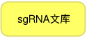 Clontech                      632646           Guide-it CRISPR Genome-Wide sgRNA Library System            5 Screens