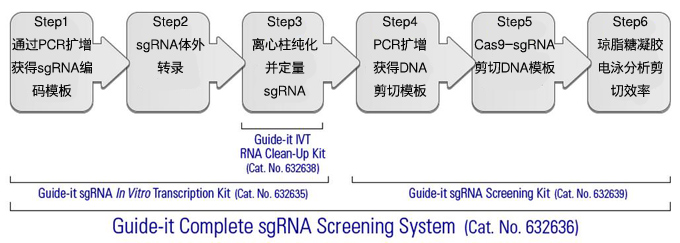 Clontech                      632635           Guide-it sgRNA In Vitro Transcription Kit            50 Rxns            ￥8,771 ￥7,017                          Clontech                      632636           Guide-it Complete sgRNA Screening System            50 Rxns            ￥10,701 ￥8,561                          Clontech                      632639           Guide-it sgRNA Screening Kit            50 Rxns            ￥4,810 ￥3,848                          Clontech                      632638           Guide-it IVT RNA Clean-Up Kit            50 Rxns