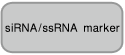 Takara                      6142           Synthetic siRNA Quantitation Core Kit            30 Rxns