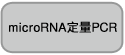 Takara                      RR065           Small RNA Cloning Kit            10 Rxns