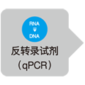 Takara                      9750           Sample Protector for RNA/DNA            100 ml