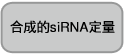 Takara                      6140           in vitro Transcription T7 Kit（for siRNA Synthesis）            50 Rxns