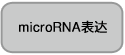 Clontech                      638315           Mir-X miRNA First-Strand Synthesis Kit            60 Rxns