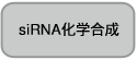 Takara                      3417A           0.5-10 kb ssRNA Ladder Marker            50 μl