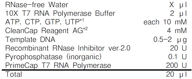 Takara                      2560A           PrimeCap&trade;  T7 RNA Polymerase (low dsRNA)            20,000 U