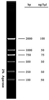 DL2000 DNA Marker 货号:               DL2030  规格:               0.5 mL