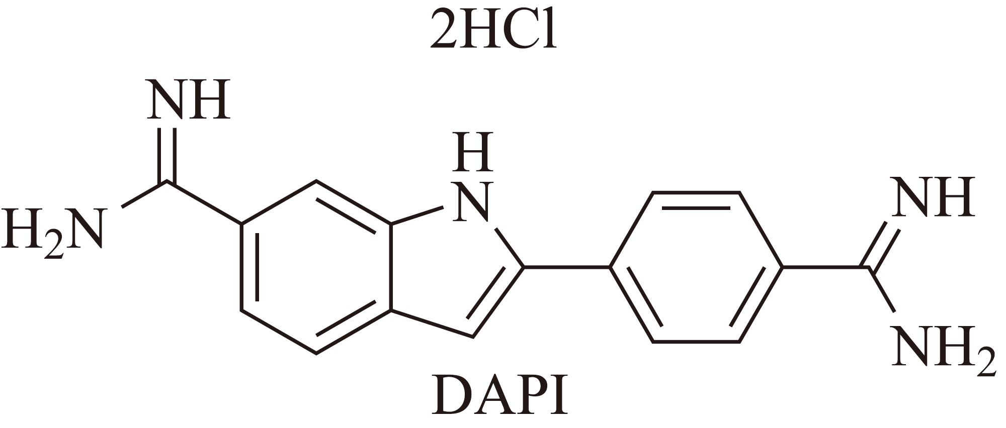 DAPI（4',6-二脒基-2-苯基吲哚二盐酸盐） 货号:               D4054  规格:               10 mg