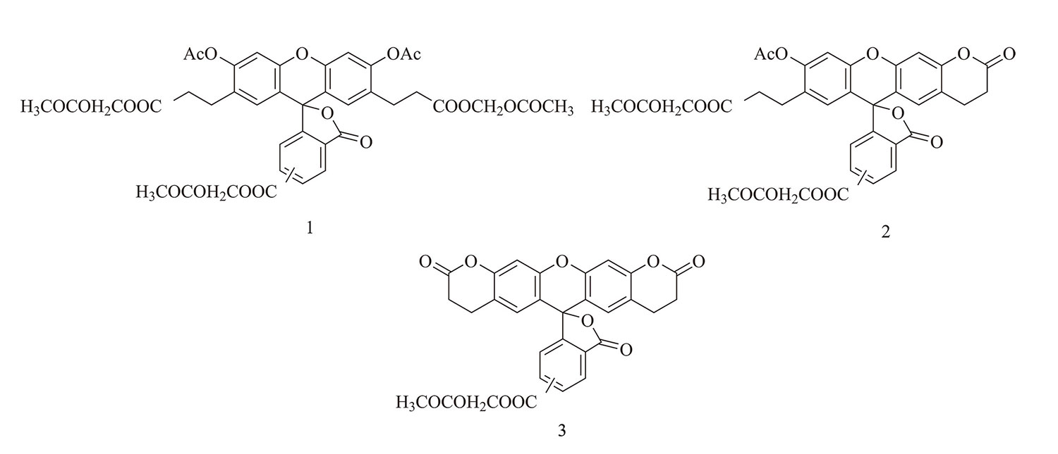 BCECF, AM ester（pH荧光探针） 货号:               B3006  规格:               1 mg