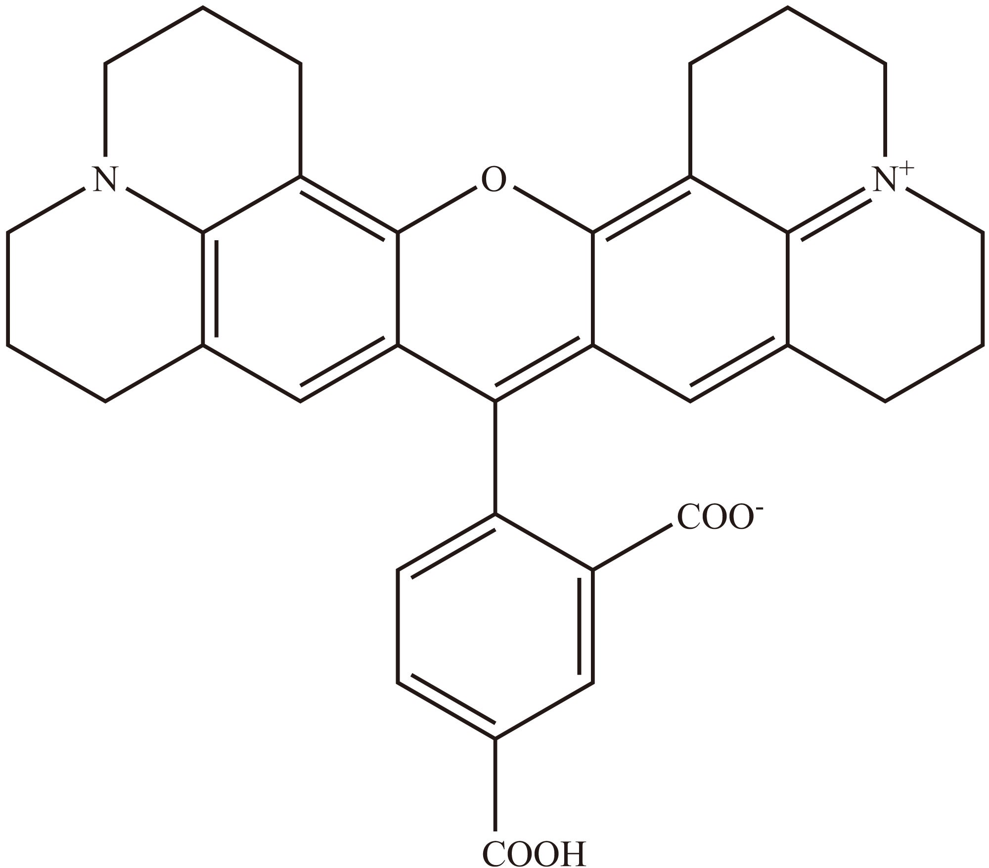 6-ROX（羧酸） 货号:               R5040  规格:               5 mg