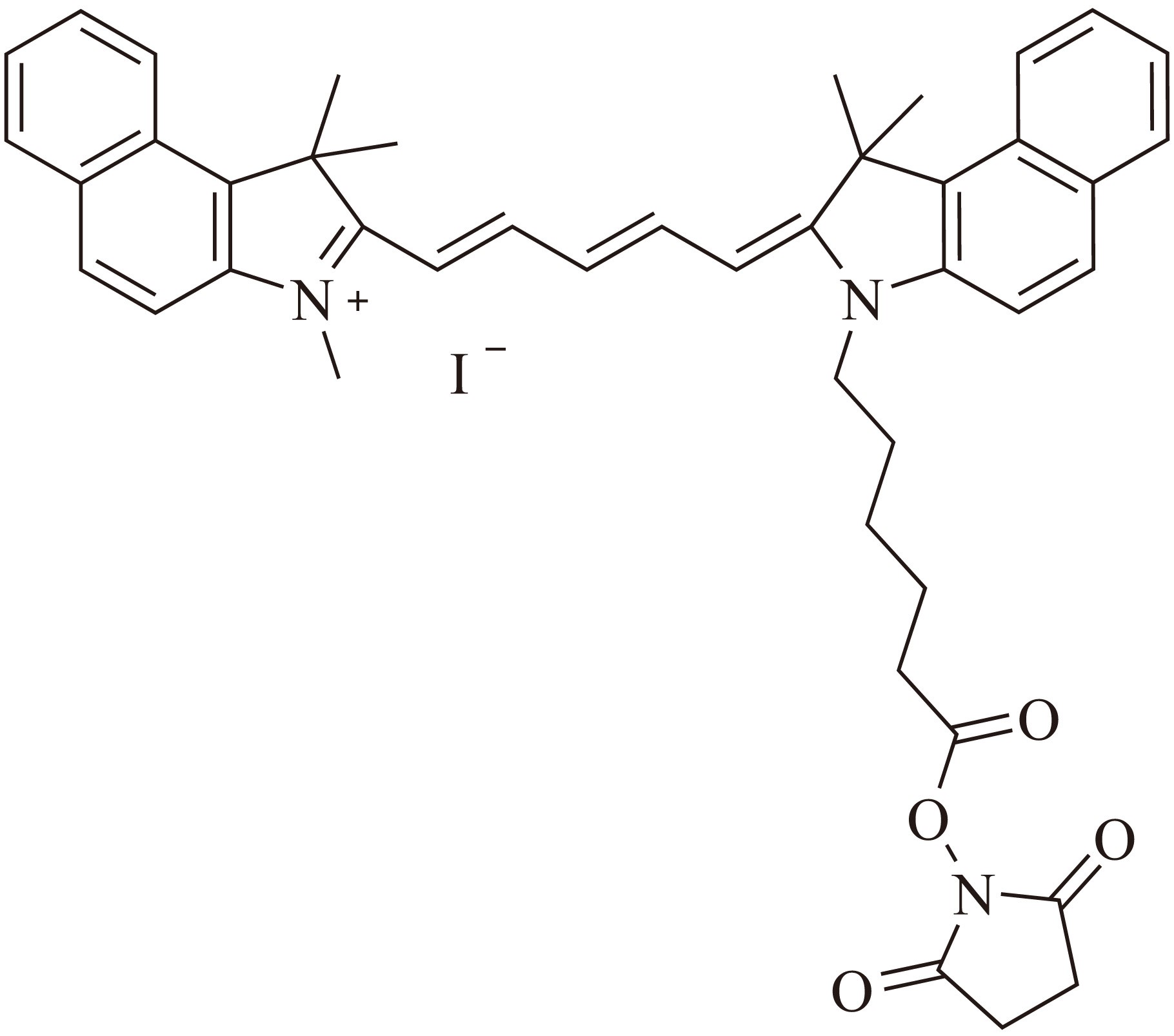 Sulfo-Cy5.5 bis-SE（Sulfo-Cy5.5双琥珀酰亚胺酯） 货号:               C5090  规格:               1mg