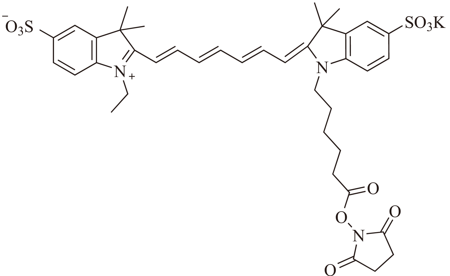 Sulfo-Cy5.5 bis-SE（Sulfo-Cy5.5双琥珀酰亚胺酯） 货号:               C5090  规格:               1mg