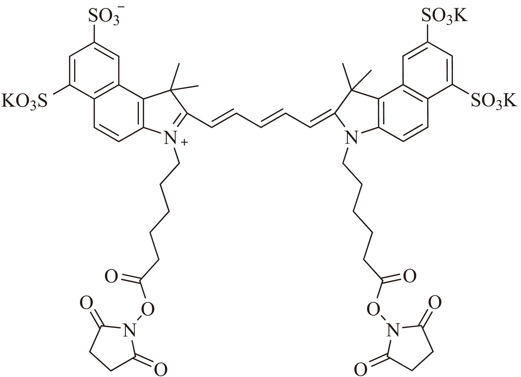 Sulfo-Cy7 bis-SE（Sulfo-Cy7双琥珀酰亚胺酯） 货号:               C5091  规格:               1mg
