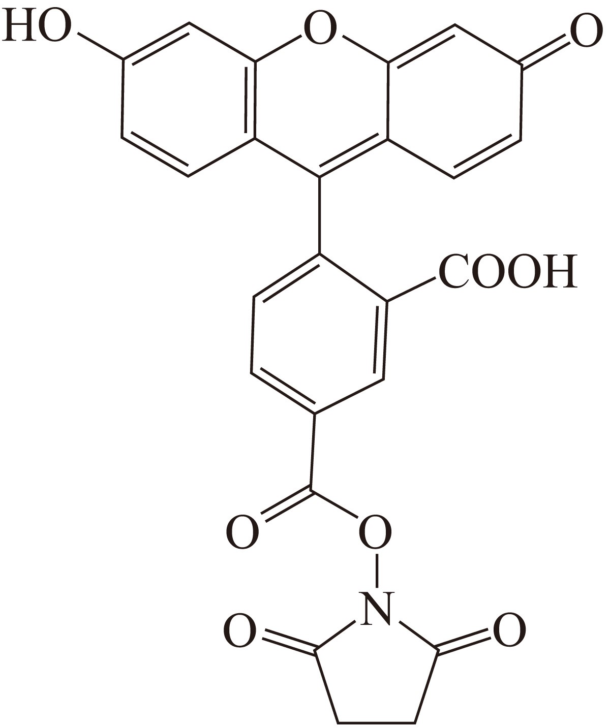 5-FAM-X SE（5-羧基荧光素-X 琥珀酰亚胺酯） 货号:               T5087  规格:               5mg
