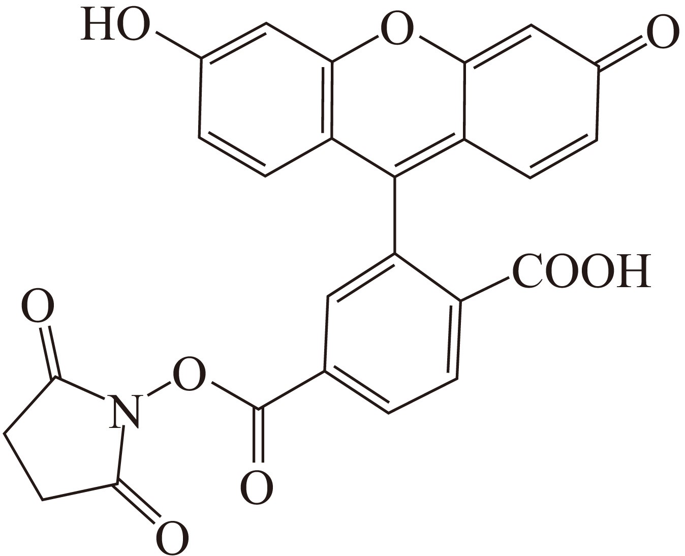 5-FAM-X SE（5-羧基荧光素-X 琥珀酰亚胺酯） 货号:               T5087  规格:               5mg