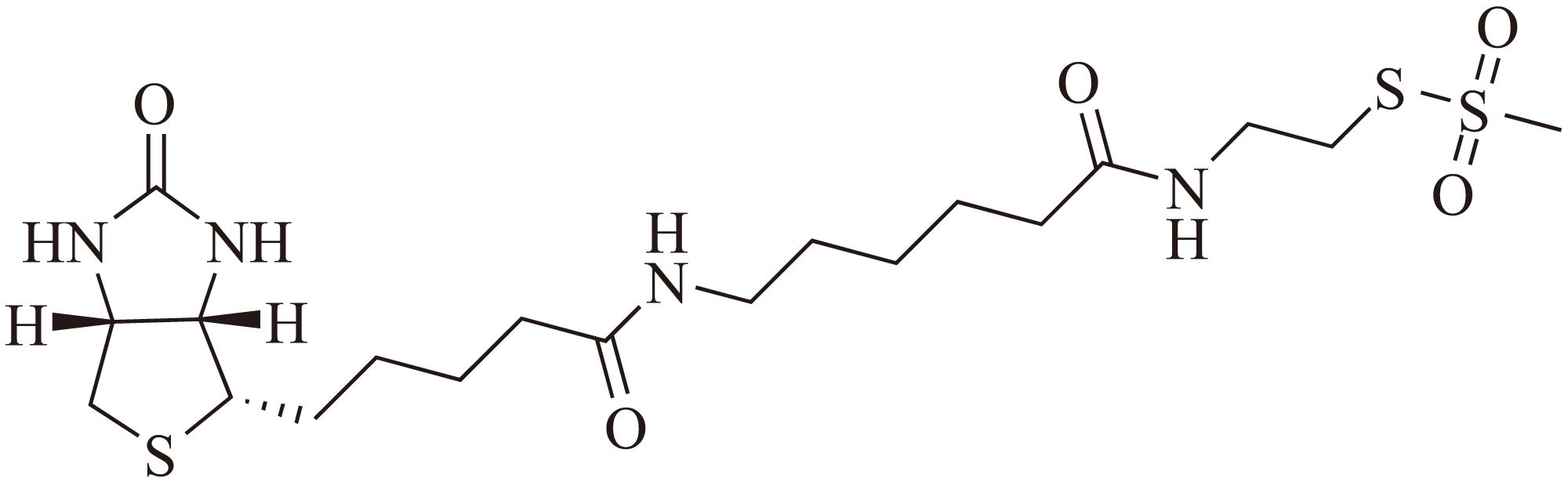MTSEA Biotin-X（MTSEA生物素-X） 货号:               M5036  规格:               10 mg