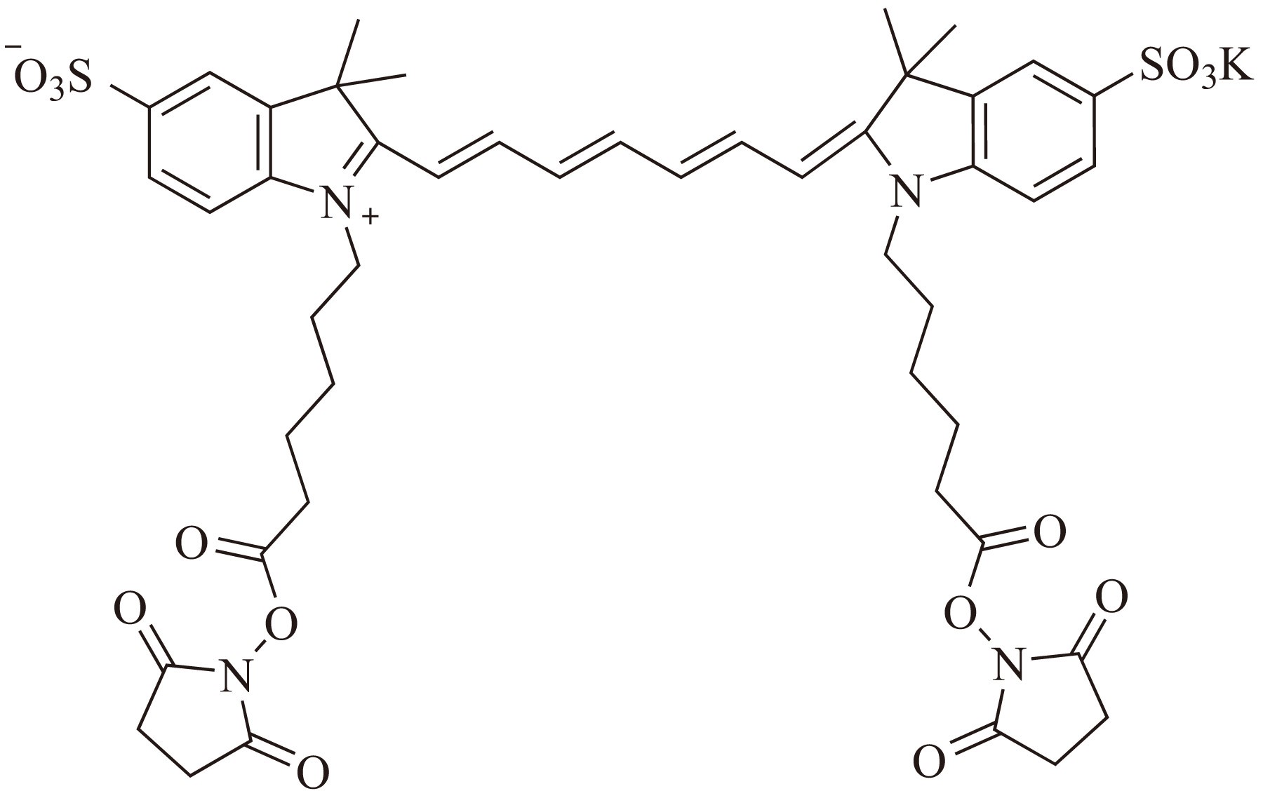 Cy5.5-E SE（Cy5.5-E 琥珀酰亚胺酯） 货号:               C5076  规格:               1mg