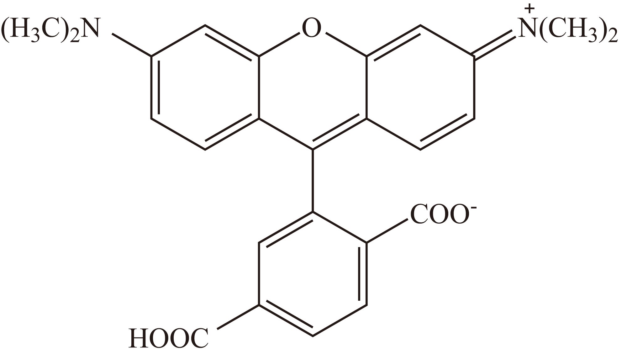 6-TAMRA（6-羧基四甲基罗丹明） 货号:               T5010  规格:               5 mg