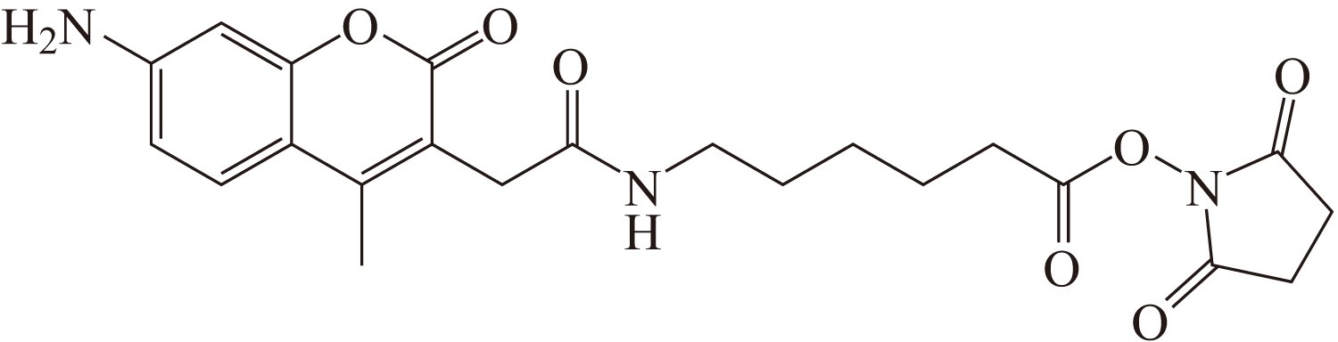 AMCA-X SE（AMCA-X 琥珀酰亚胺酯） 货号:               A5052  规格:               5 mg
