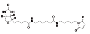 Biotin-X-C5-maleimide（生物素-X-C5-马来酰亚胺） 货号:               B5042  规格:               5 mg