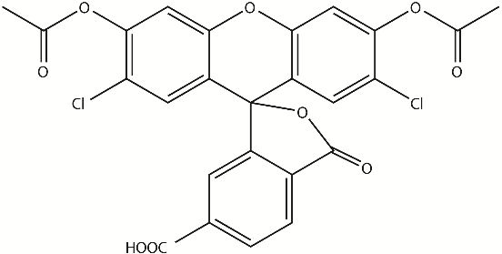 6-CDCFDA（6-羧基-2',7'-二氯荧光素二乙酸酯） 货号:               C4043  规格:               20 mg