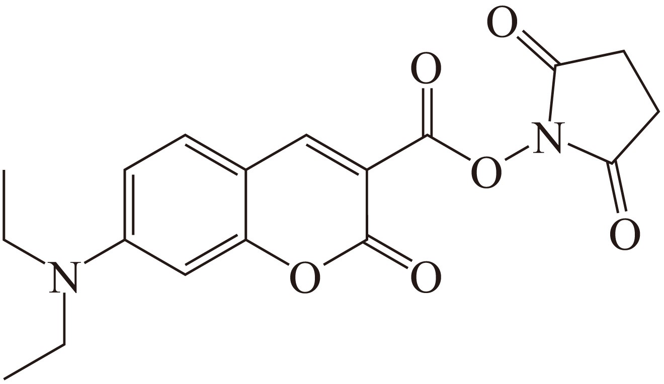 DAC SE（DAC 琥珀酰亚胺酯） 货号:               D5065  规格:               5 mg