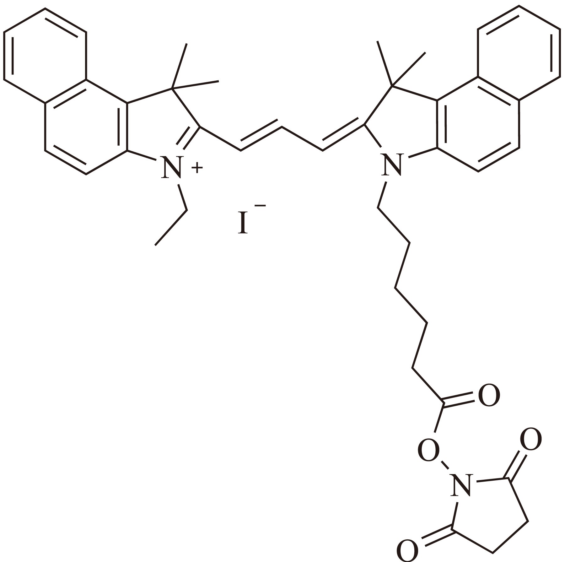 Cy5.5-M SE（Cy5.5-M 琥珀酰亚胺酯） 货号:               C5083  规格:               1mg