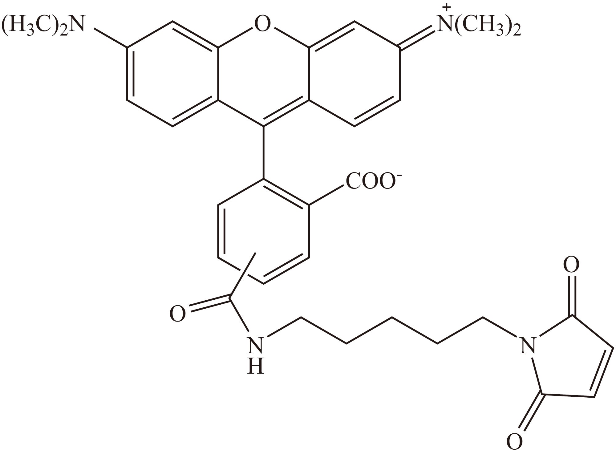 5(6)-TAMRA-C5-maleimide（5(6)-TAMRA-C5-马来酰亚胺） 货号:               T5049  规格:               5 mg